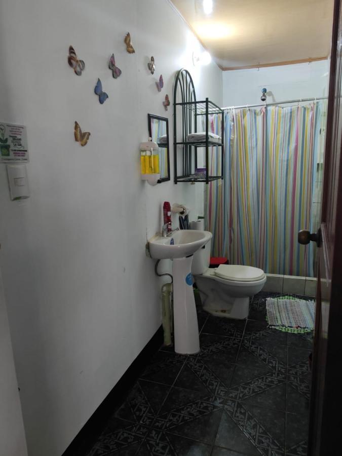 Tortuguero Casa De Playa Green House Διαμέρισμα Εξωτερικό φωτογραφία