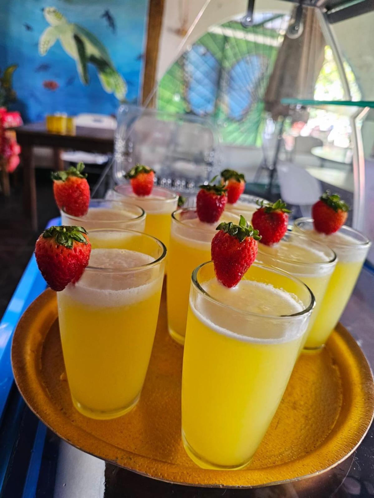Tortuguero Casa De Playa Green House Διαμέρισμα Εξωτερικό φωτογραφία