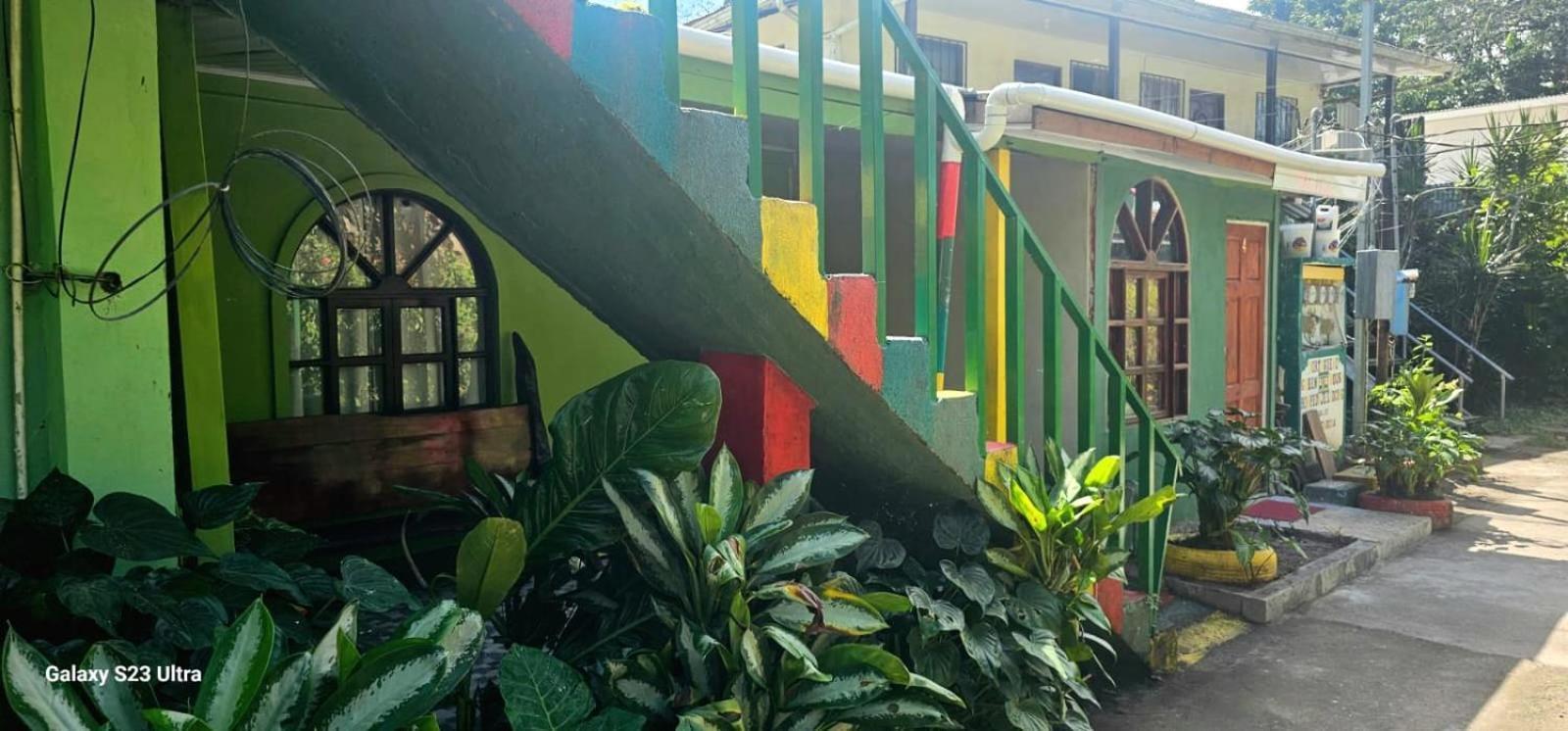 Tortuguero Casa De Playa Green House Διαμέρισμα Εξωτερικό φωτογραφία