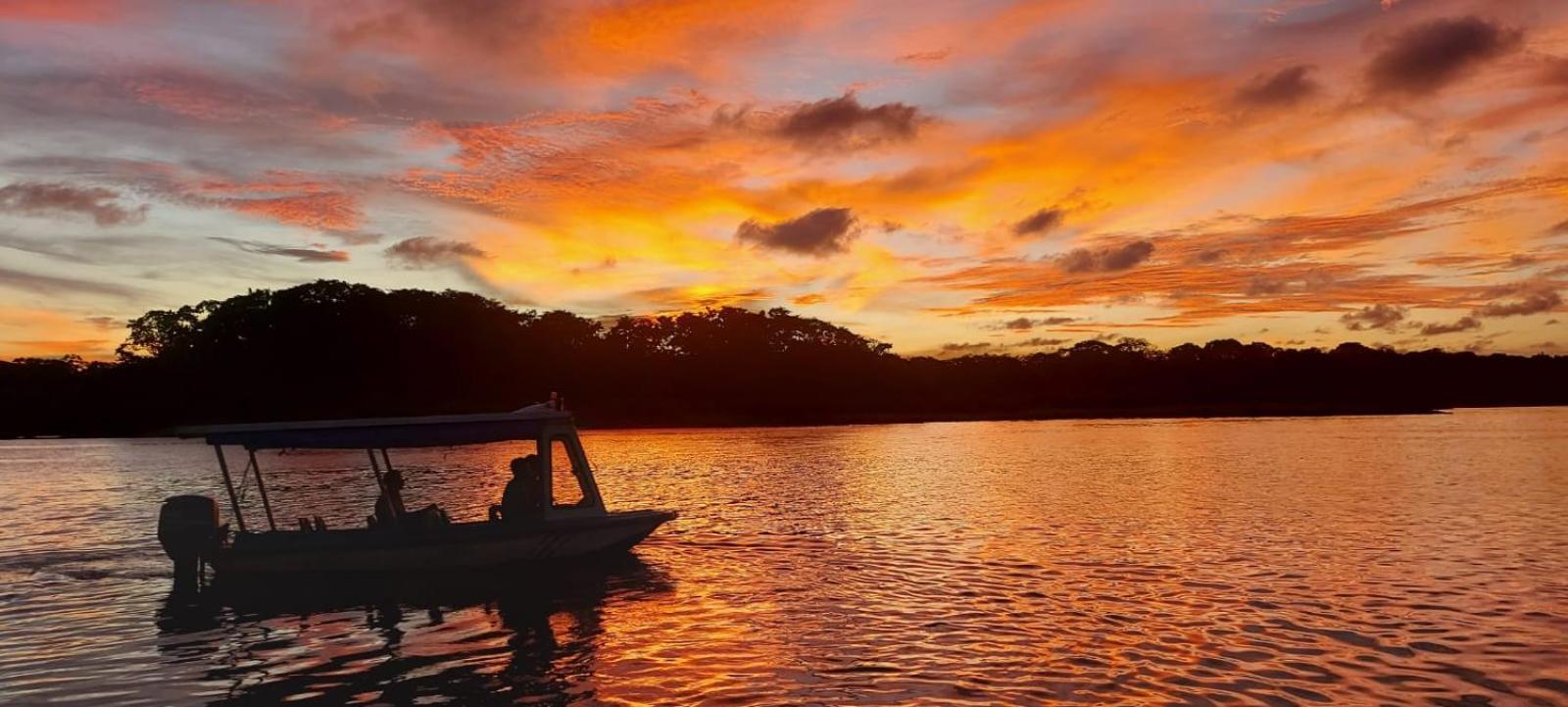 Tortuguero Casa De Playa Green House Διαμέρισμα Εξωτερικό φωτογραφία